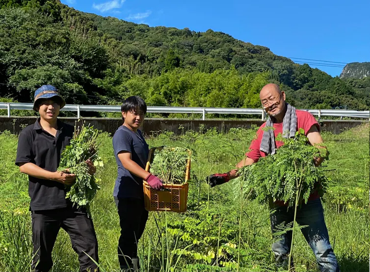 2番目のメイン画像