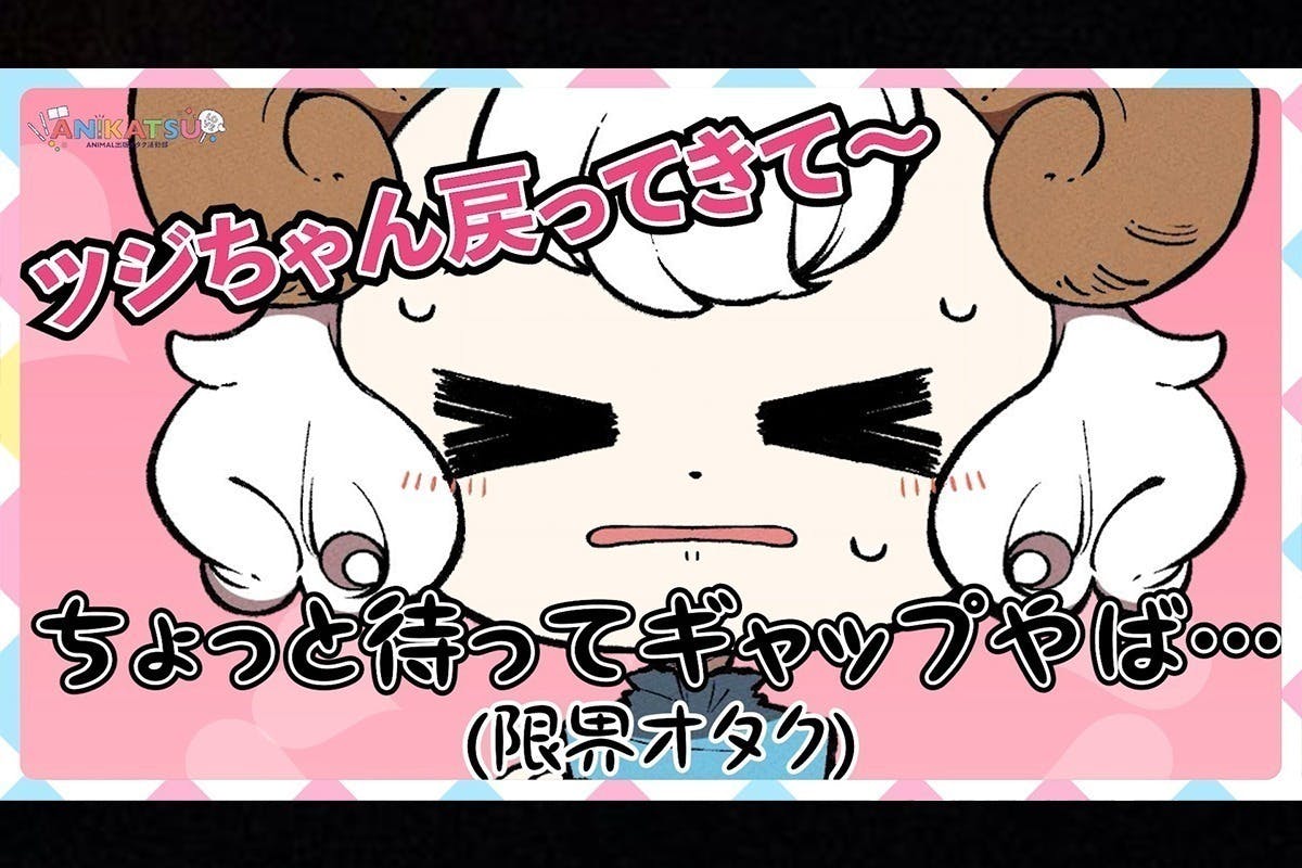 オタクあるある満載 な自主制作アニメを製作して 多くに人に楽しんでもらいたい Campfire キャンプファイヤー オタクあるある満載 な自主制作アニメを製作して 多くに人に楽しんでもらいたい Campfire キャンプファイヤー