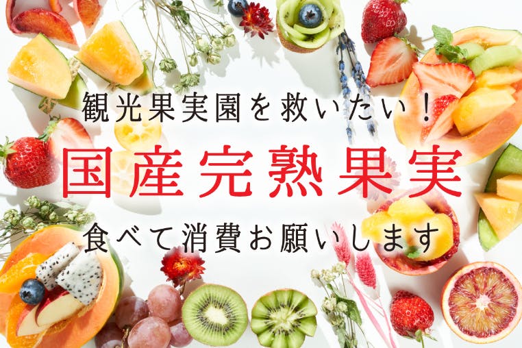 暑い日が続いてまいりました 夏バテ防止に国産の完熟冷凍果物で家族や仲間たちと大切な時間を過 Campfire キャンプファイヤー