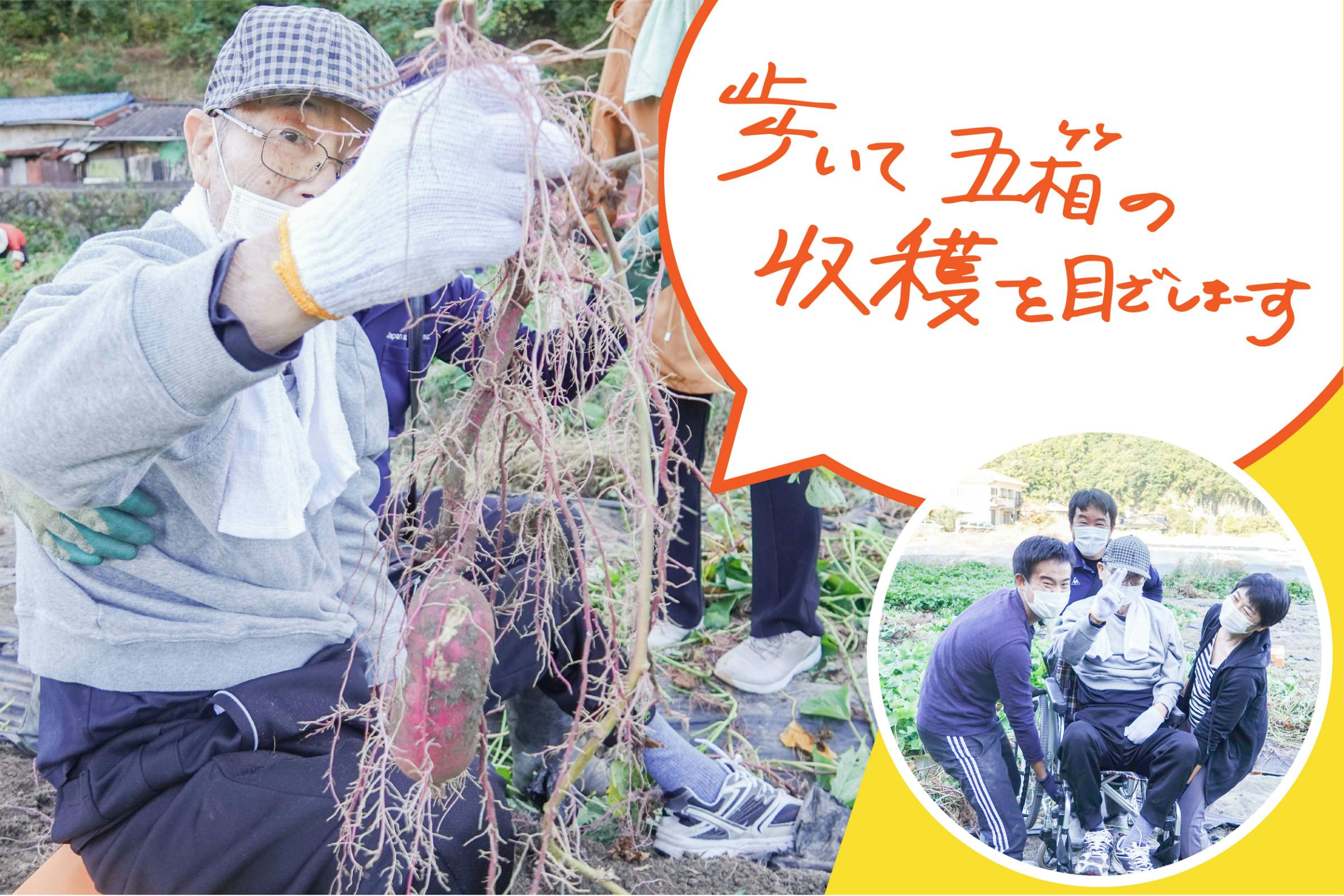7月1日(金) さつまいも苗3,000本 到着!! - CAMPFIRE (キャンプファイヤー)