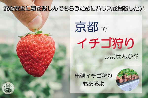 京都・内海農園】安心してイチゴ狩りを楽しんで頂くためにハウス改修