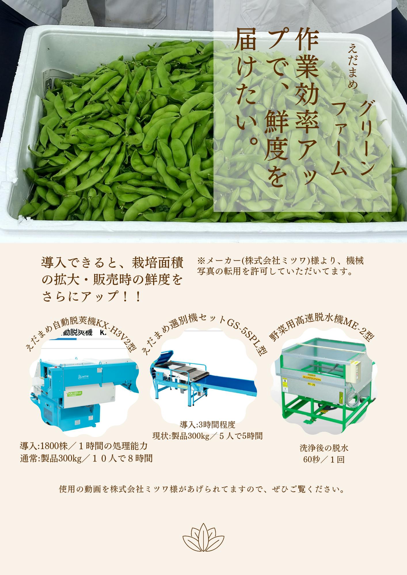 枝豆の小さな実ができはじめました。 - CAMPFIRE (キャンプファイヤー)