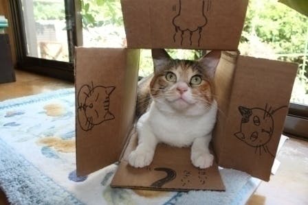 3番目のメイン画像