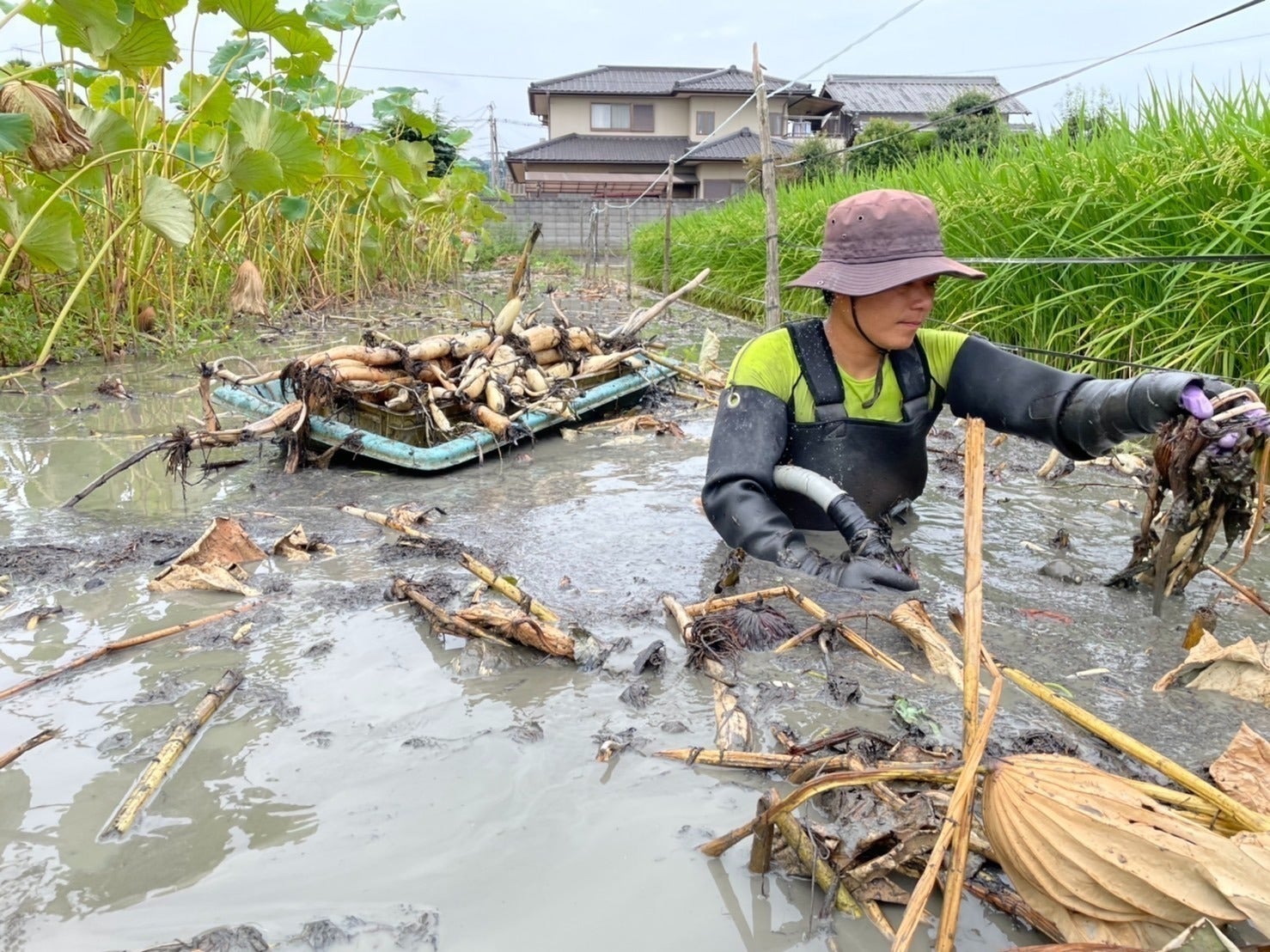 2番目のメイン画像
