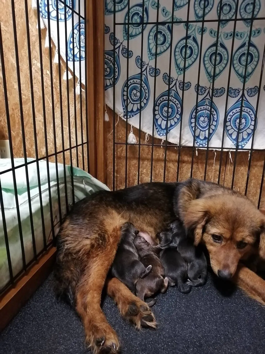 5番目のメイン画像