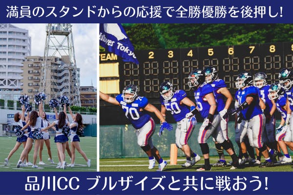 満員のスタンドからの応援で全勝優勝を後押し! 品川CC ブルザイズ