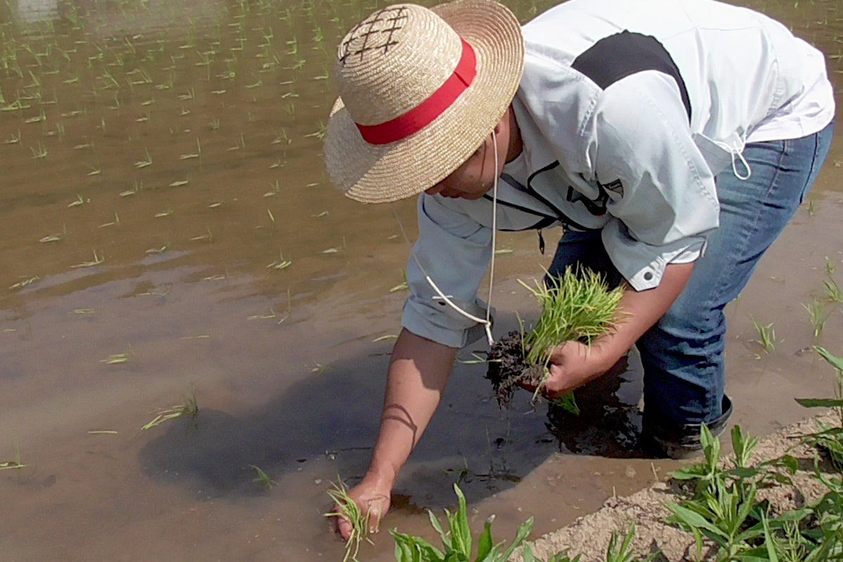 4番目のメイン画像