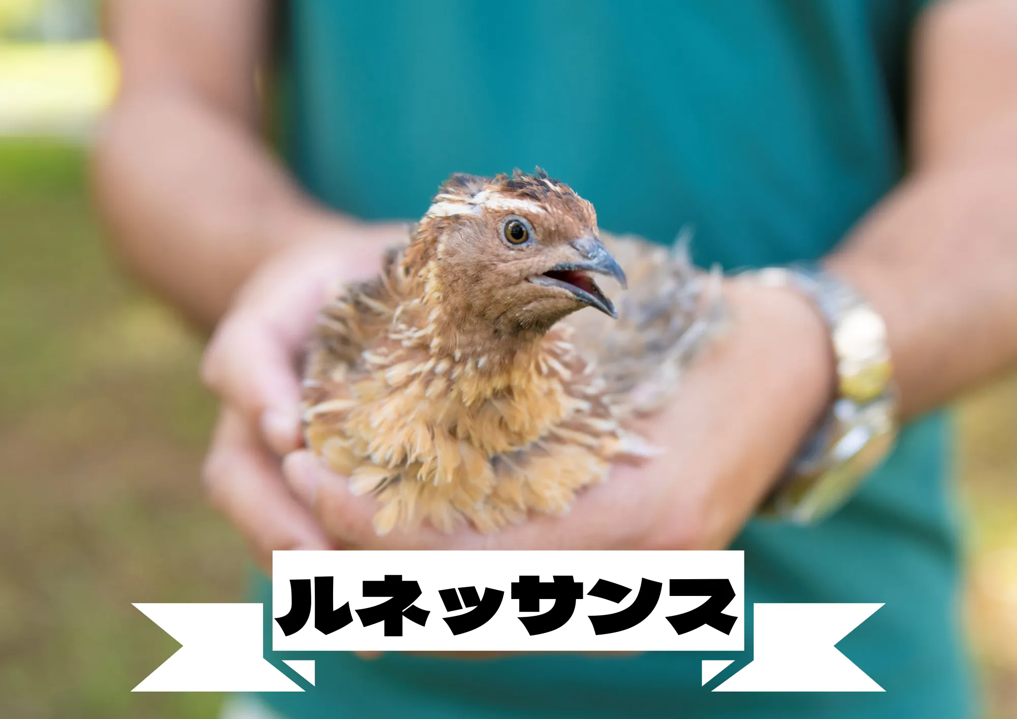 2番目のメイン画像