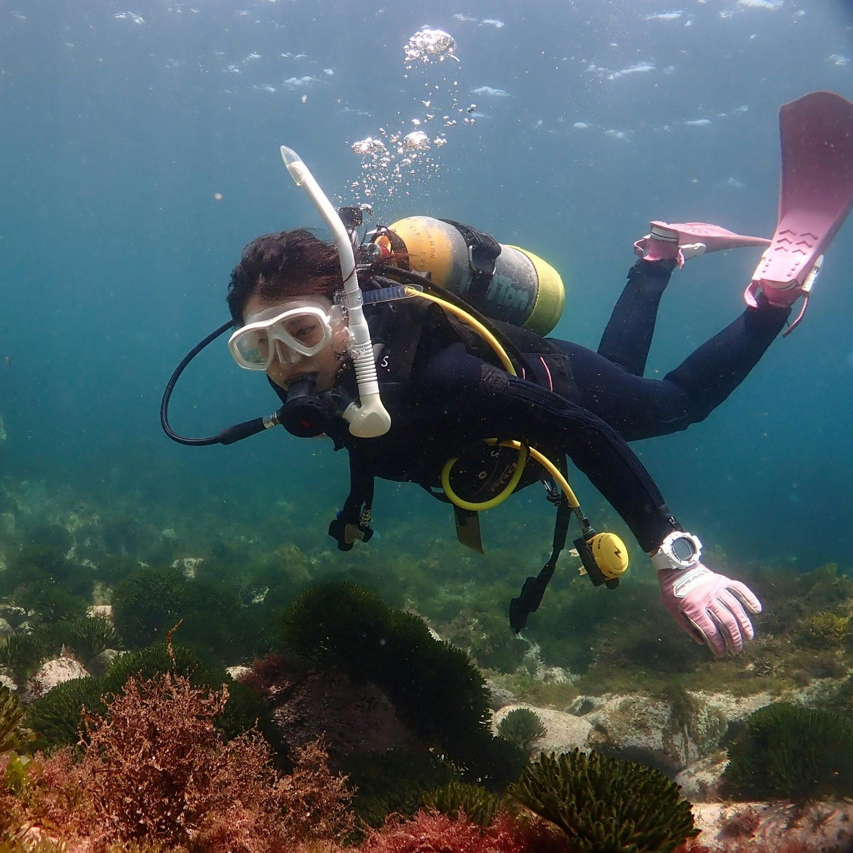 福岡市にマリンアクティビティ拠点を作りたい Campfire キャンプファイヤー 福岡市にマリンアクティビティ拠点を作りたい Campfire キャンプファイヤー