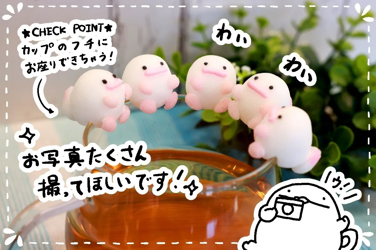 5番目のメイン画像