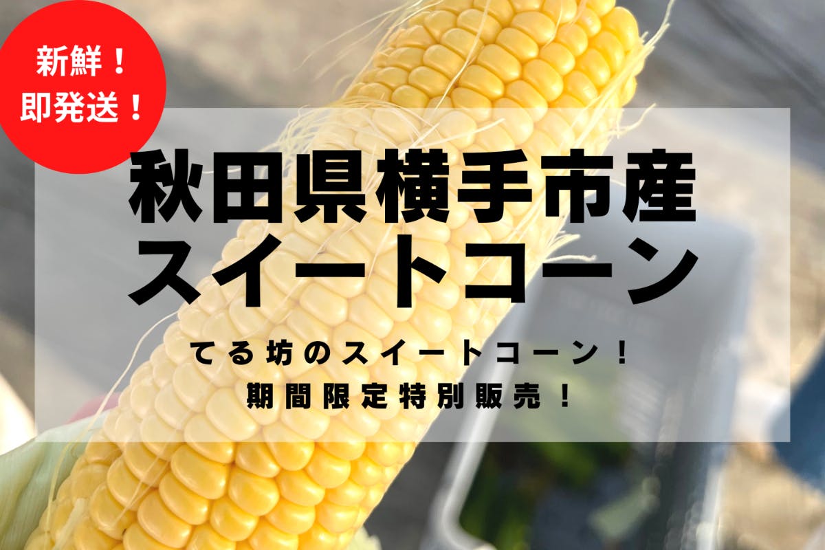 秋田県横手市産 新鮮で甘くて美味しい スイートコーンを皆様にお届けします Campfire キャンプファイヤー