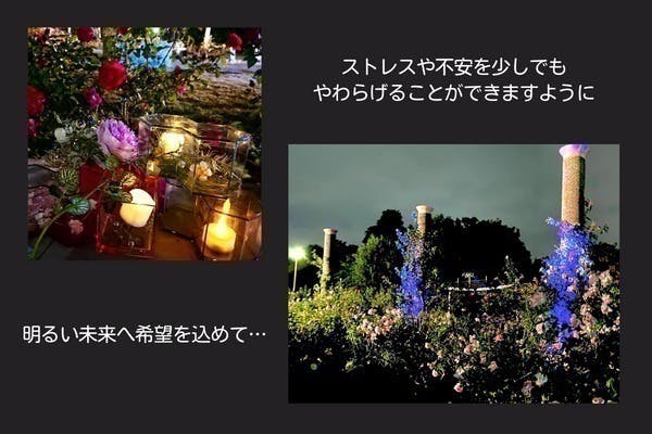 (キャンプファイヤー)　茨木市若園バラ園をライトアップ☆コロナ禍の癒しイベントを継続開催したい！　CAMPFIRE