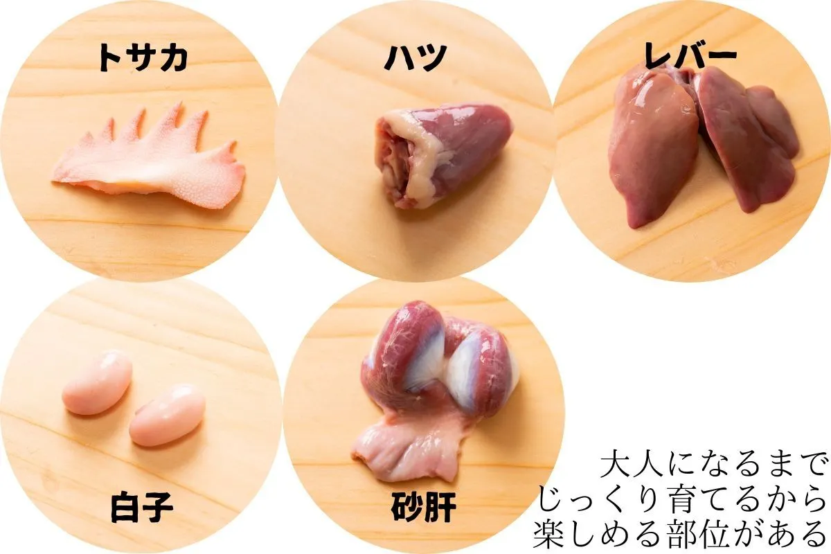 4番目のメイン画像