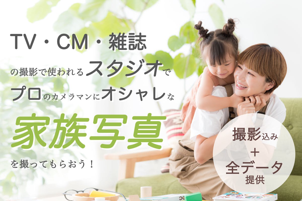 美品】プロ仕様のスタジオパネル【動画撮影にも！】