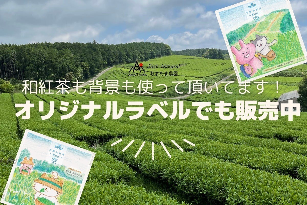 自然栽培 自然発酵 紅茶(30g)☆奈良県大和高原産☆無肥料・無農薬の究極の自然農法☆森で熟成♪さわやかな上品な味と誇り高き香り♪ - 飲料