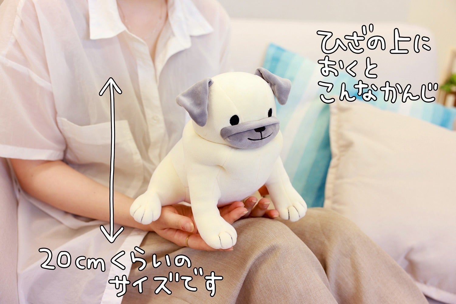 3番目のメイン画像