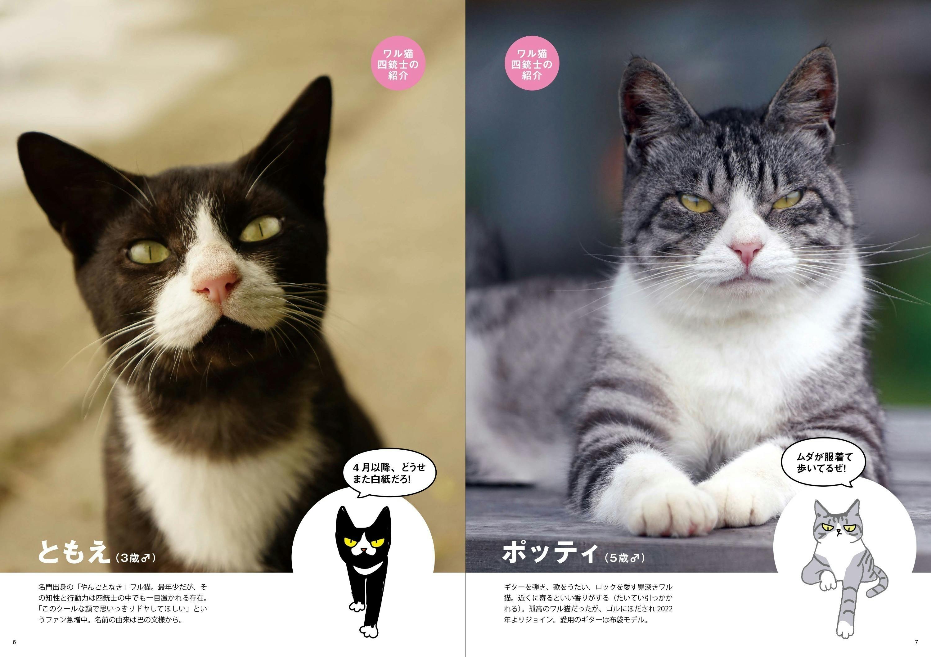 あなたの愛猫の 極悪顔 不機嫌顔 激おこ顔 写真で ワル猫カケイボ を作りたい の支援者一覧 Campfire キャンプファイヤー あなたの愛猫の 極悪顔 不機嫌顔 激おこ顔 写真で ワル猫カケイボ を作りたい の支援者一覧 Campfire キャンプファイヤー