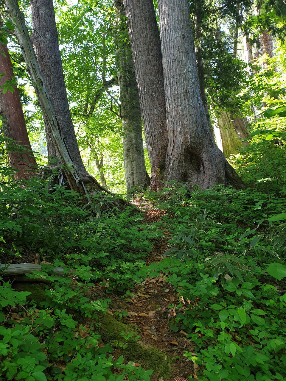 4番目のメイン画像