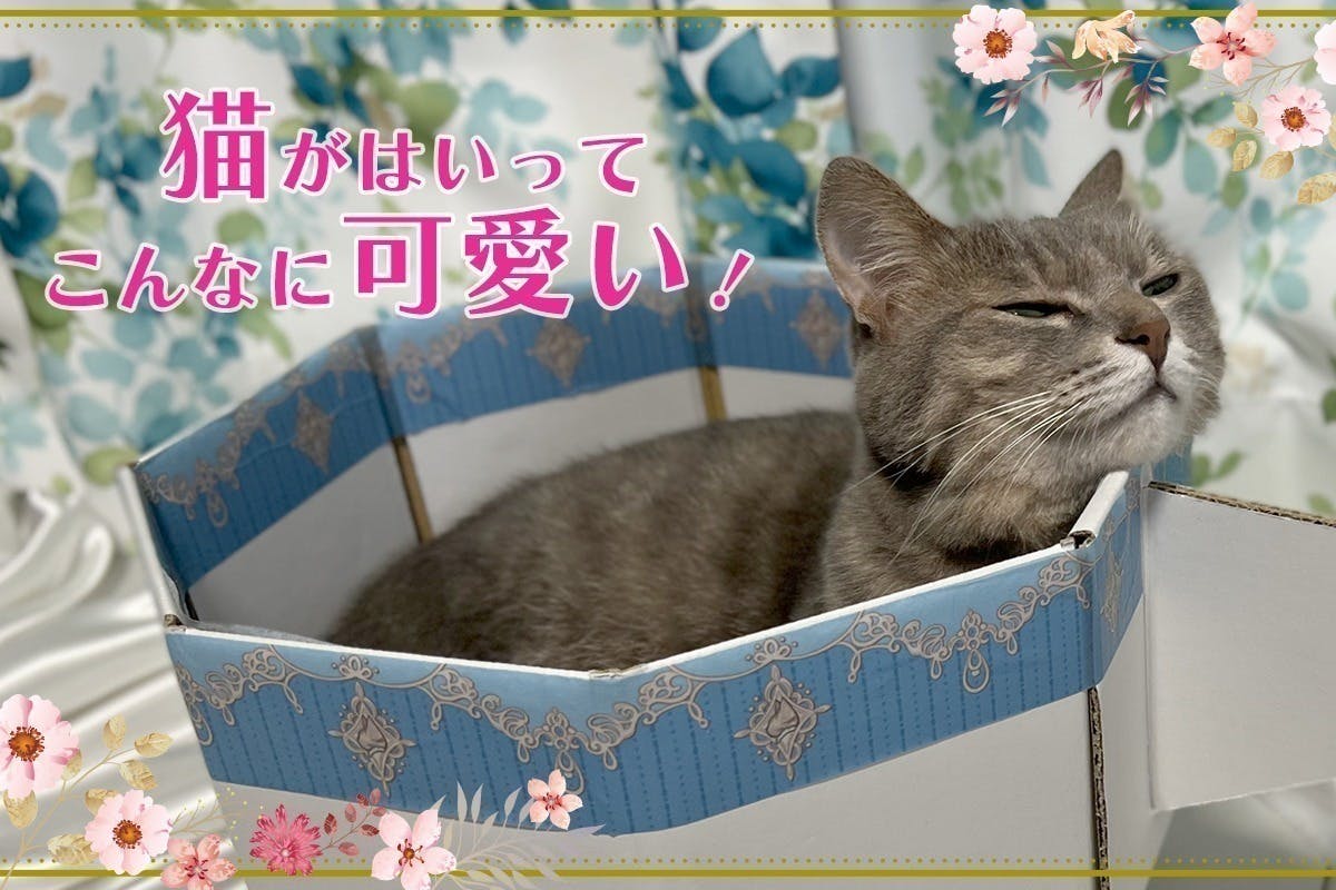 新商品❣️ふんわりモコモコ可愛い❣️三毛猫カラーのポットマット