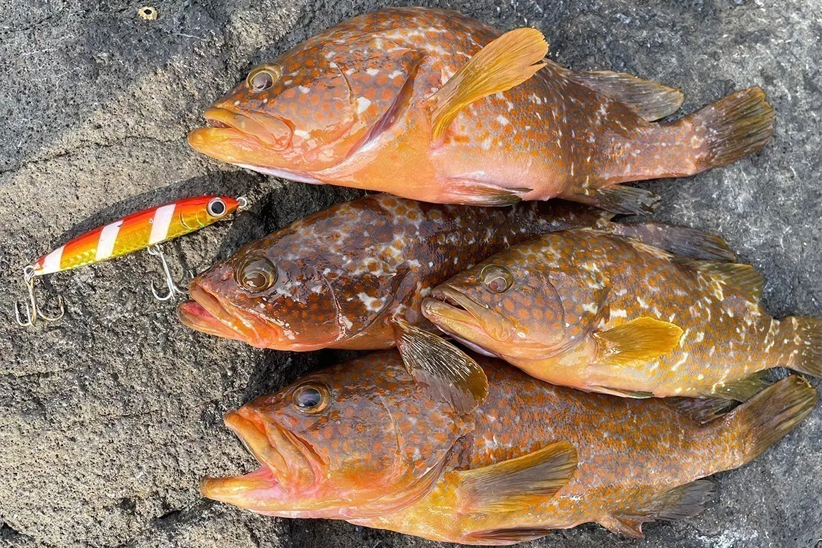 3番目のメイン画像