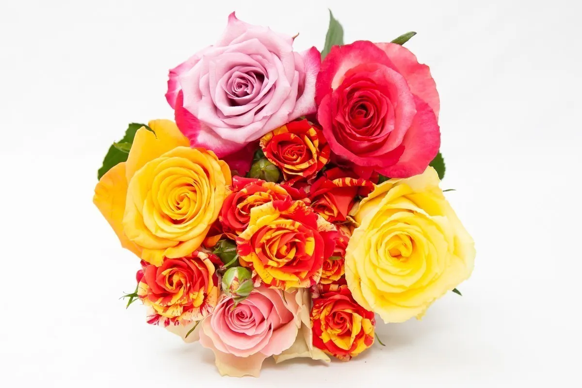 4番目のメイン画像