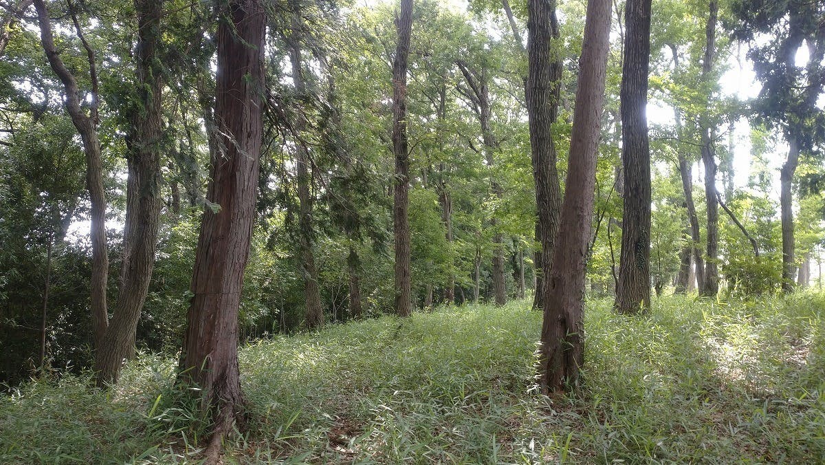 3番目のメイン画像