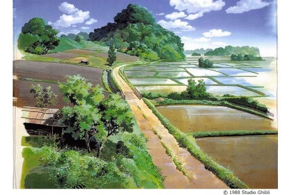 ―北秋津・上安松地区都市緑地保全事業―　「となりのトトロ」のやまを守りたい