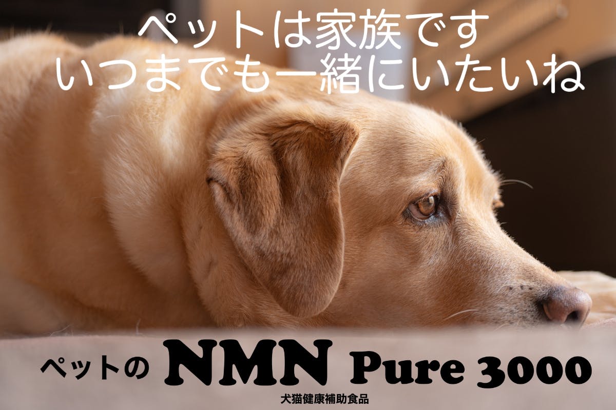 ペットの健康維持によるエイジングケアをサポートする 今話題のNMN
