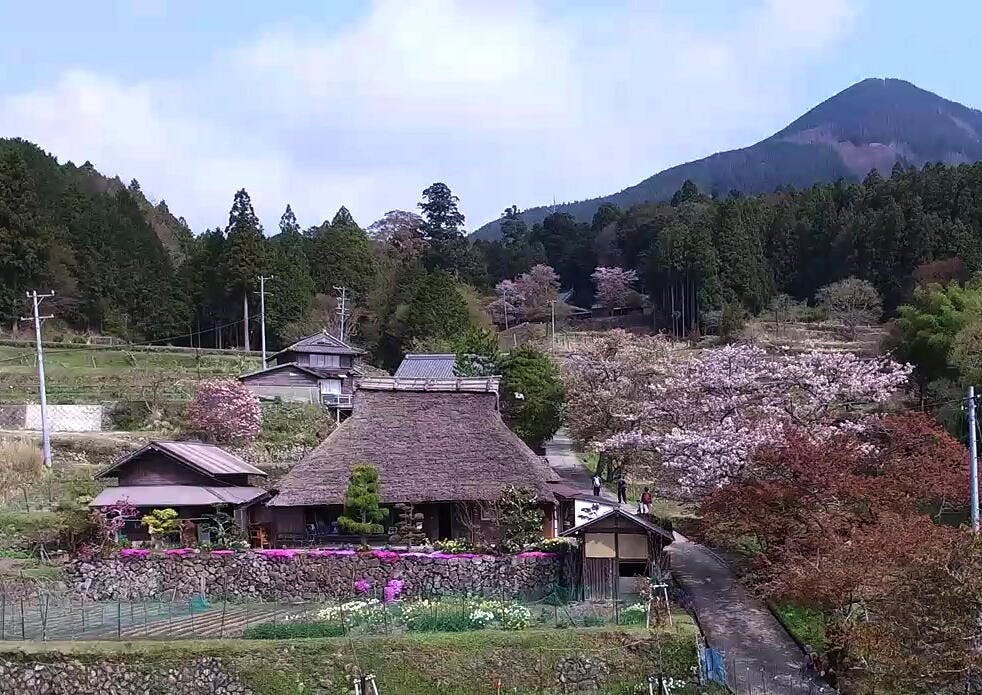 日本さくら１００選「三多気（みたけ）の桜」を彩る茅葺き屋根を引継ぎたい CAMPFIRE (キャンプファイヤー)