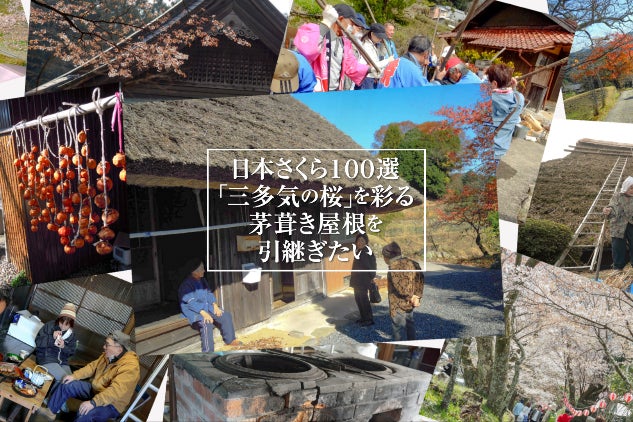 e9657242-ed9d-4aeb-8935-