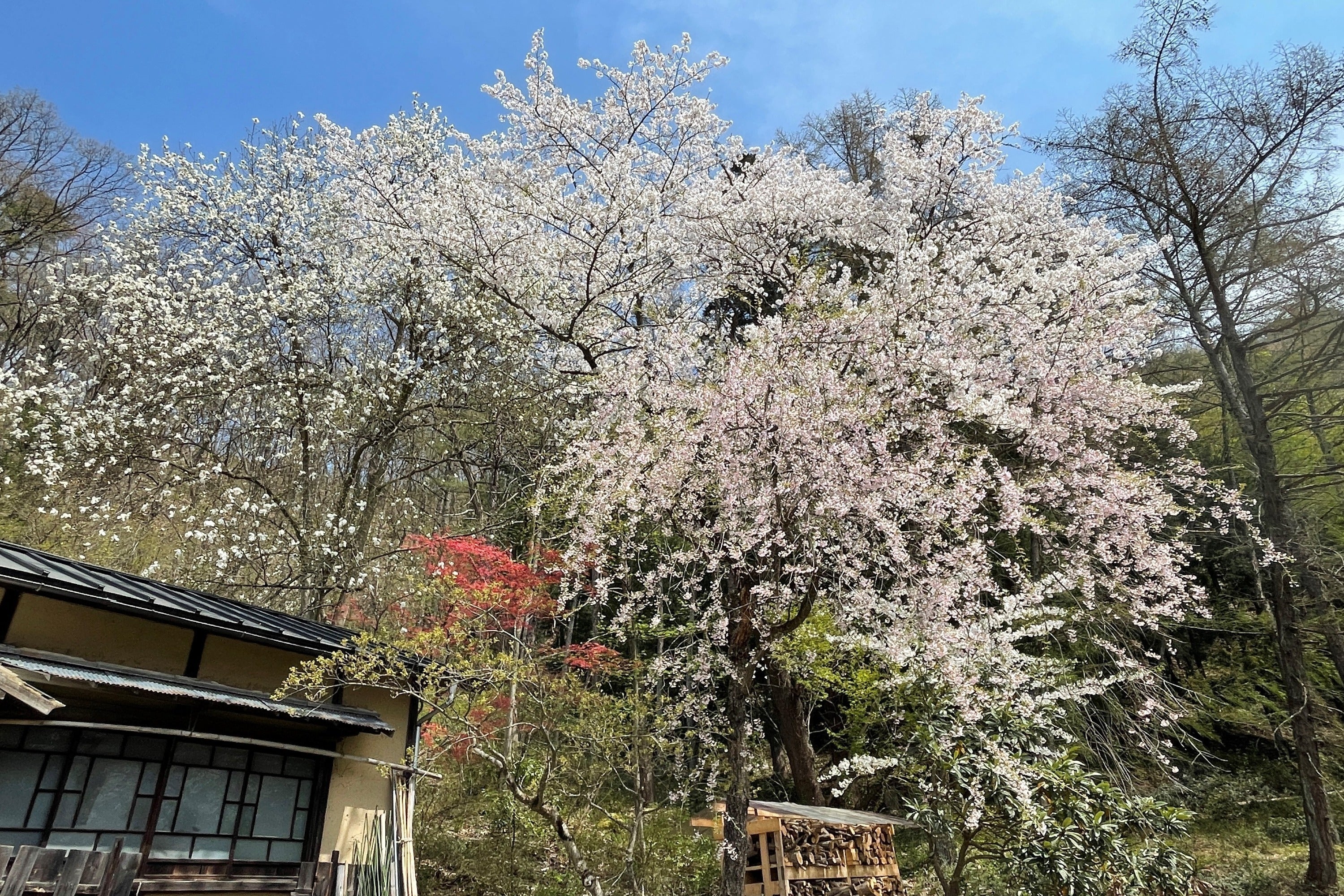 2番目のメイン画像