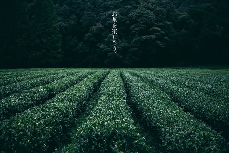 あわじ園ブレンダーが伝える日本茶紀行で健康生活コミニュテイー