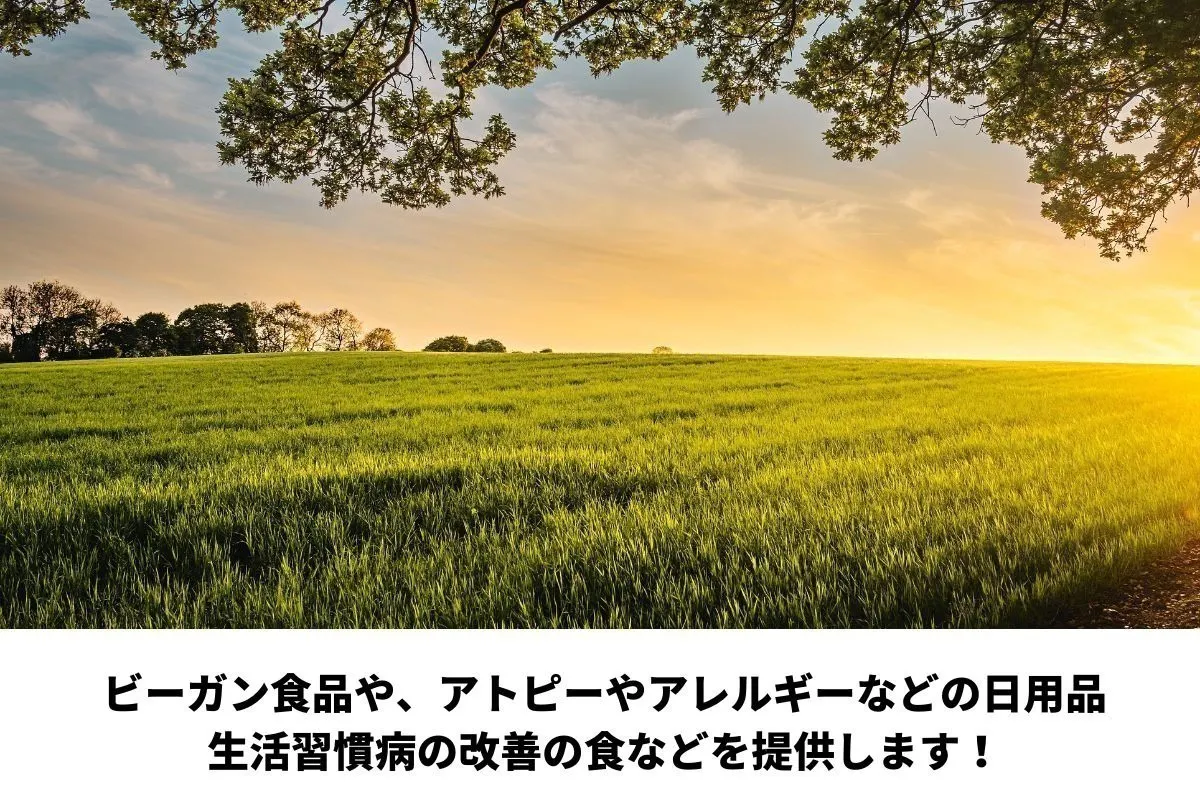 元重度のアレルギーを克服した経験から大阪でオーガニックショップを作りたい Campfire キャンプファイヤー 元重度のアレルギーを克服した経験から大阪でオーガニックショップを作りたい Campfire キャンプファイヤー