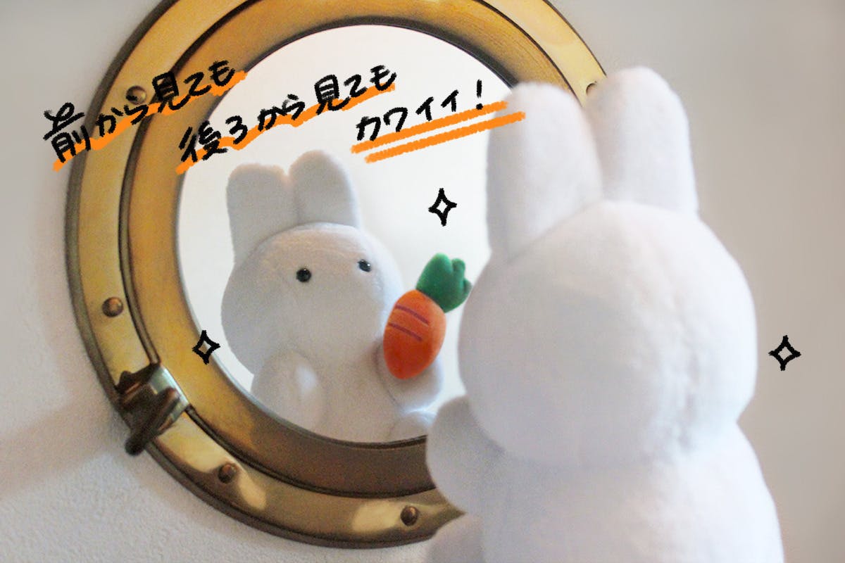 Siroiusagichan ぬいぐるみ化プロジェクト Campfire キャンプファイヤー Siroiusagichan ぬいぐるみ化プロジェクト Campfire キャンプファイヤー