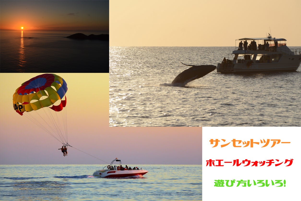 小笠原 父島 世界遺産 小笠原でパラセーリングのサービスを始めます Campfire キャンプファイヤー 小笠原 父島 世界遺産 小笠原でパラセーリングのサービスを始めます Campfire キャンプファイヤー