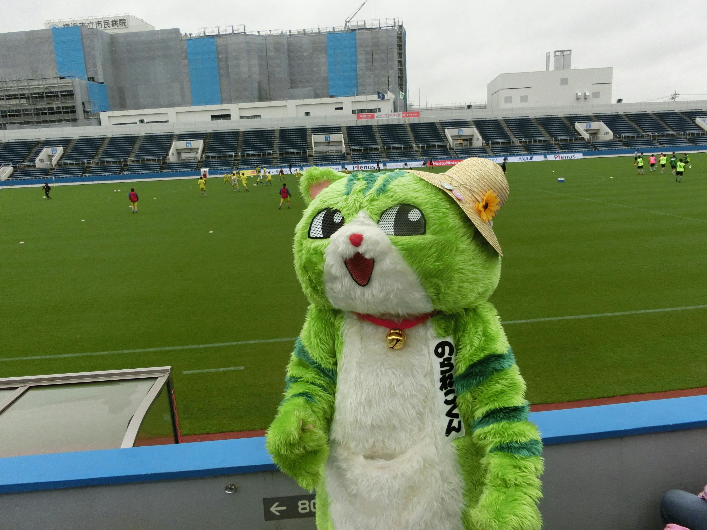 カタールワールドカップで日本代表を現地で応援したいのにゃー(のら
