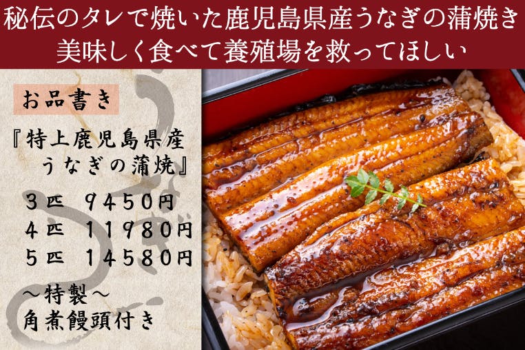 CAMPFIRE　創業40年！秘伝のたれで焼いた鹿児島産・鰻の蒲焼きを食べて養殖場を救ってほしい　(キャンプファイヤー)