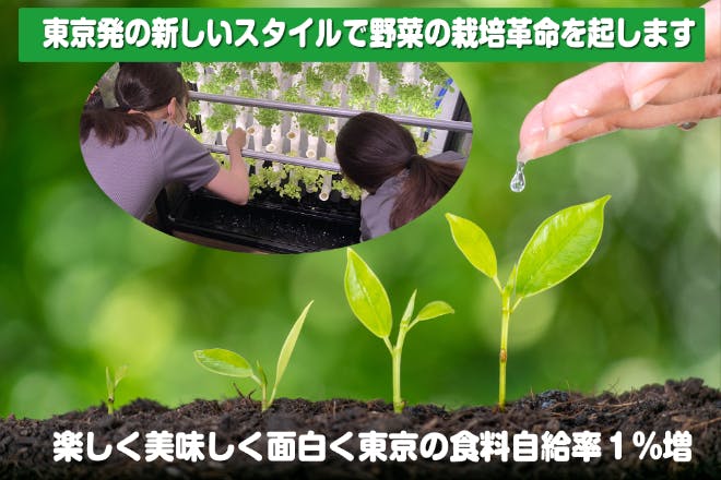 (キャンプファイヤー)　室内栽培で自給自足ライフ！東京から新しいスタイルの栽培システムで食料自給率１％増　CAMPFIRE