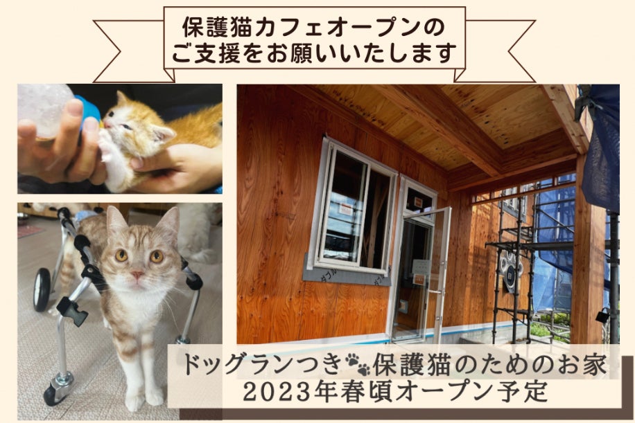 保護猫施設 カフェのオープンにご協力お願いいたします Campfire キャンプファイヤー 保護猫施設 カフェのオープンにご協力お願いいたします Campfire キャンプファイヤー