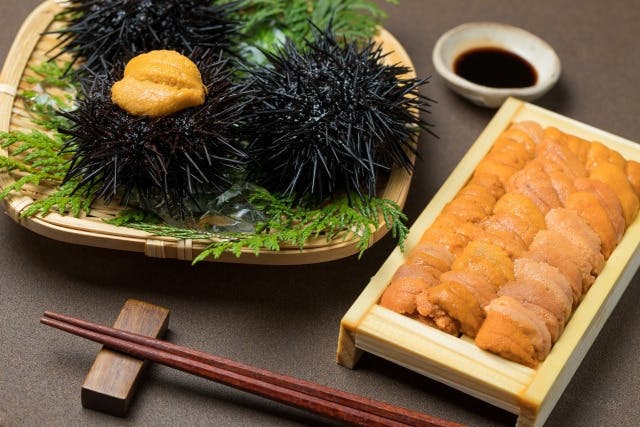 美味しい ウニ を養殖し その味を堪能しませんか これで地球環境に貢献できます Campfire キャンプファイヤー 美味しい ウニ を養殖し その味を堪能しませんか これで地球環境に貢献できます Campfire キャンプファイヤー