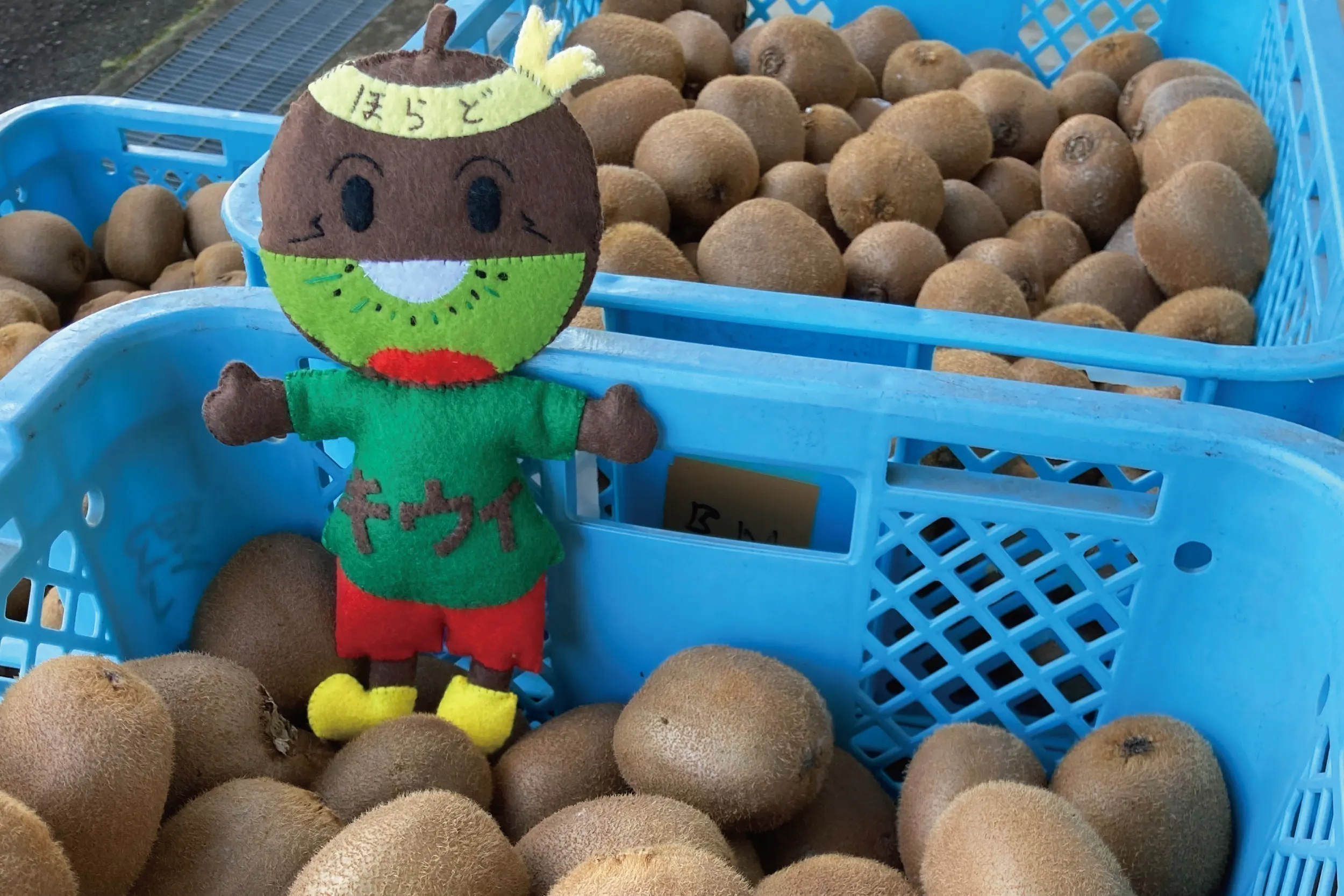 5番目のメイン画像