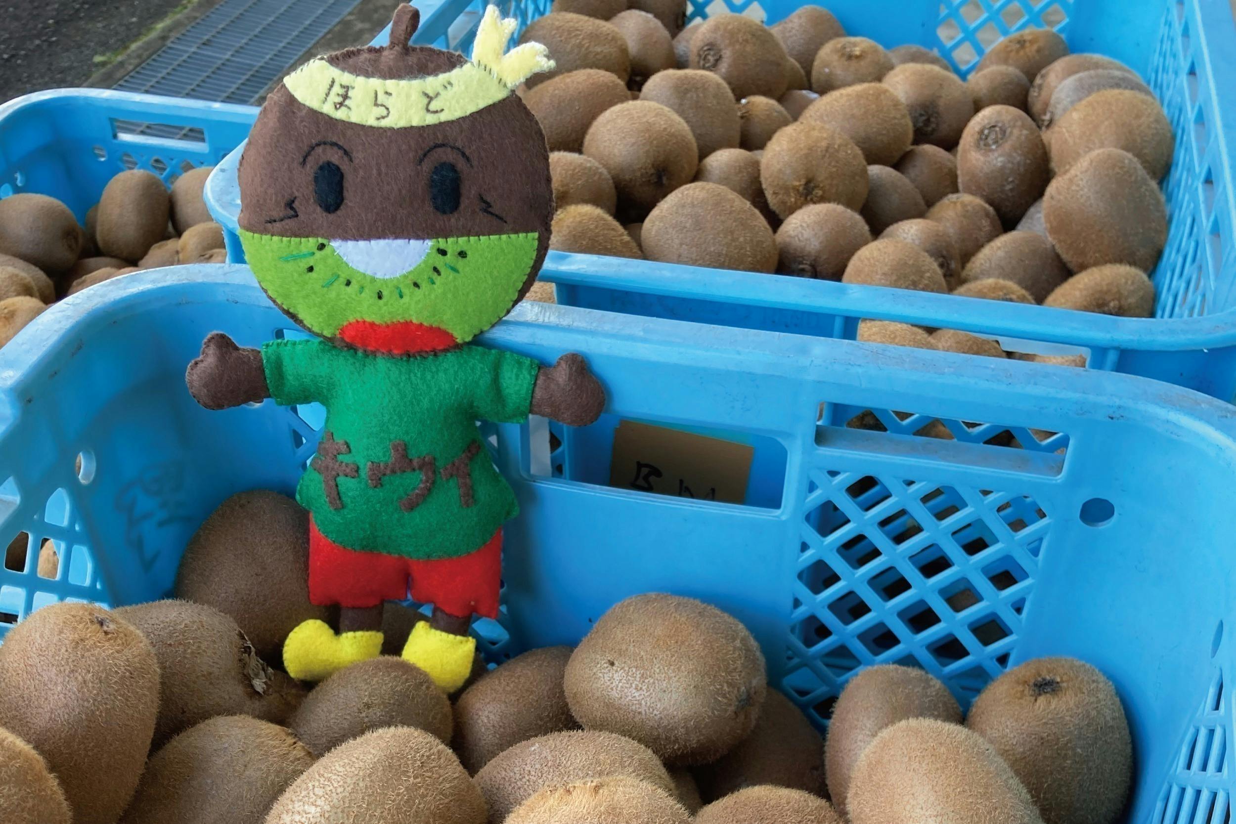 キウイフルーツ BIGぬいぐるみ