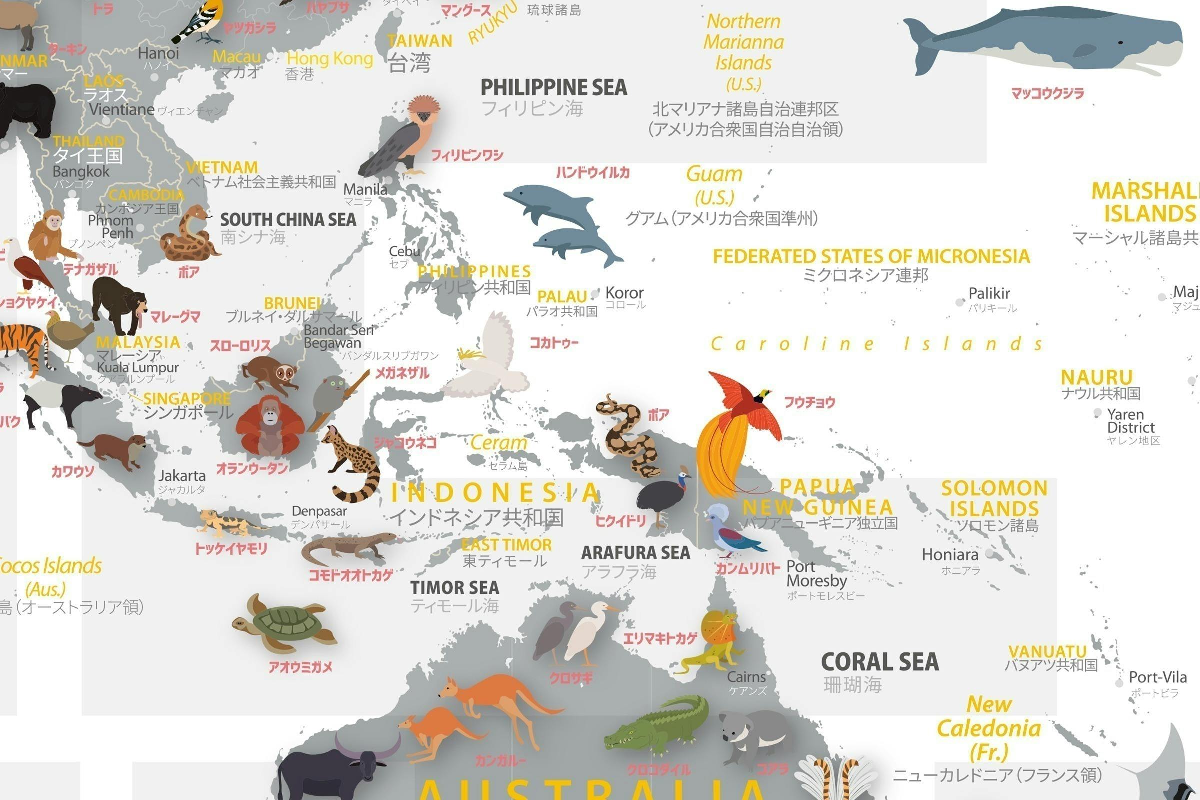 オーストラリア中心の世界地図のテーブルセンター - その他