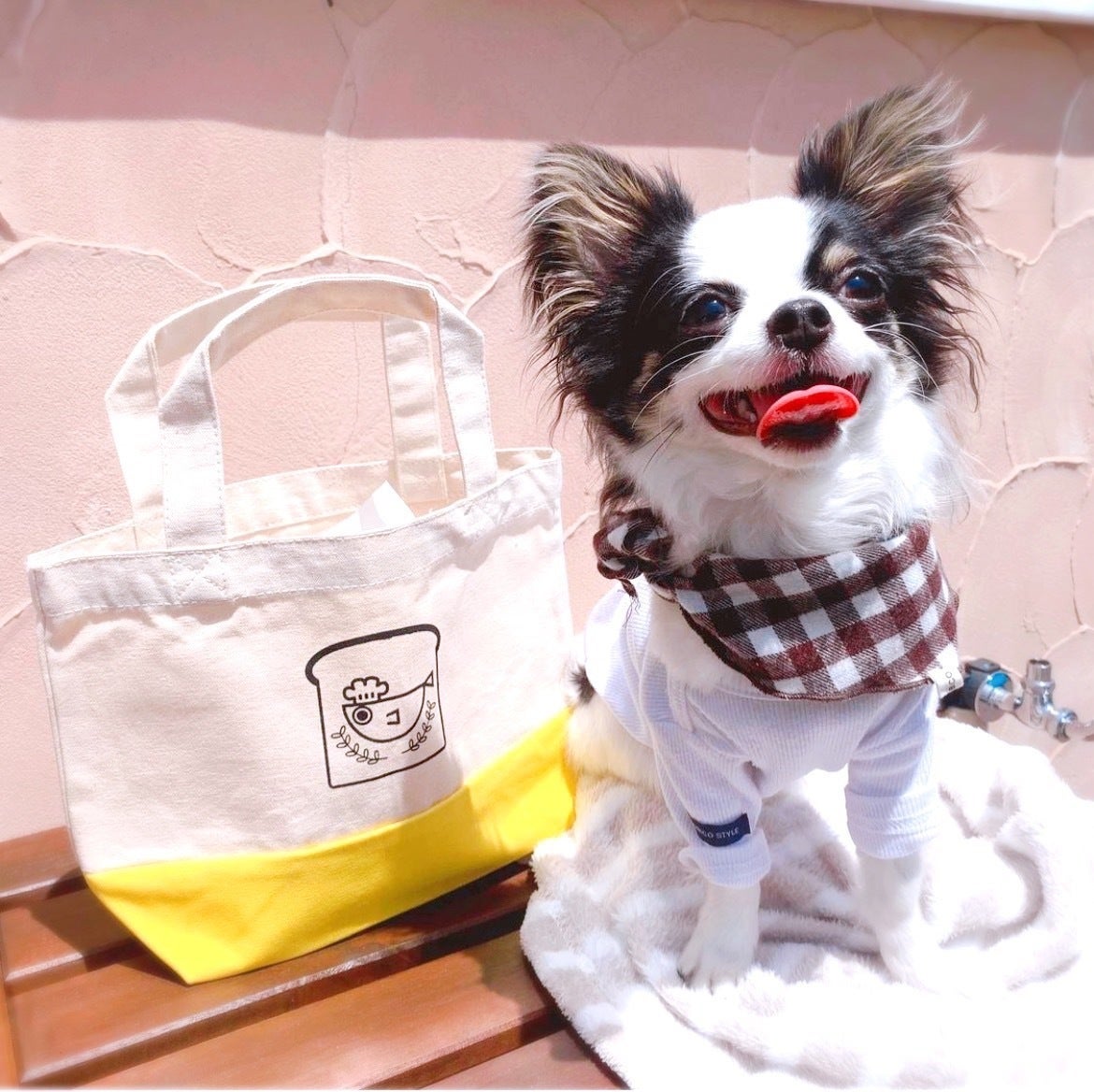 5番目のメイン画像