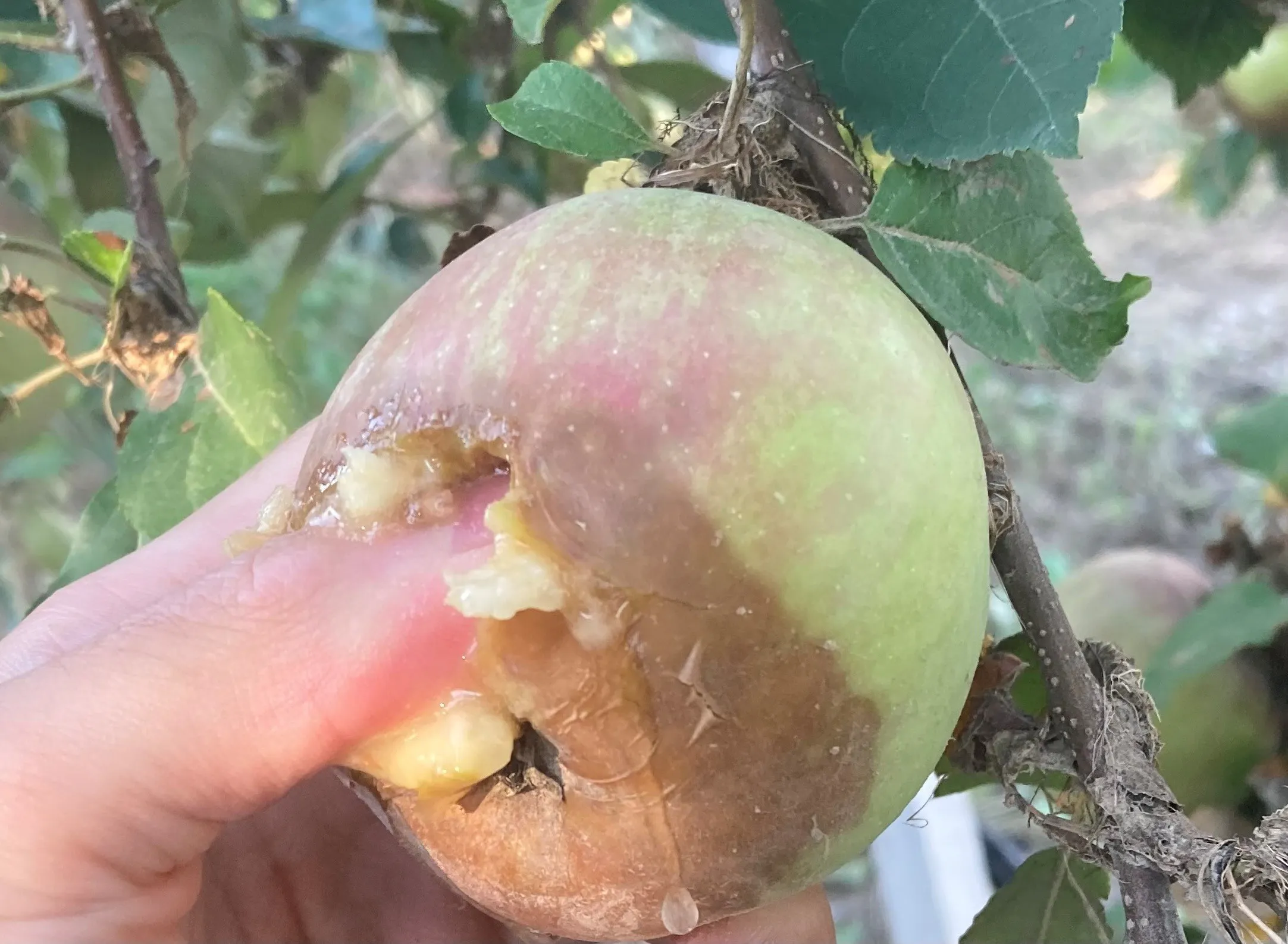 5番目のメイン画像