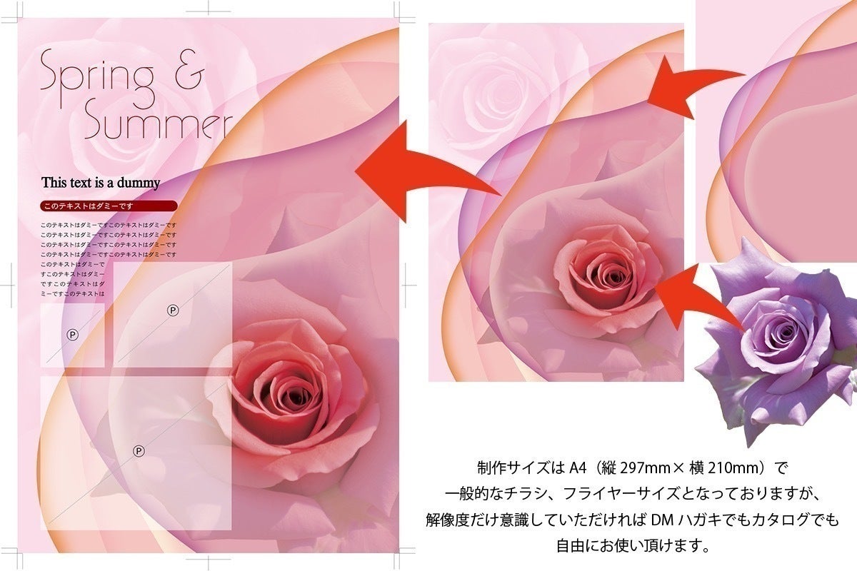 2番目のメイン画像