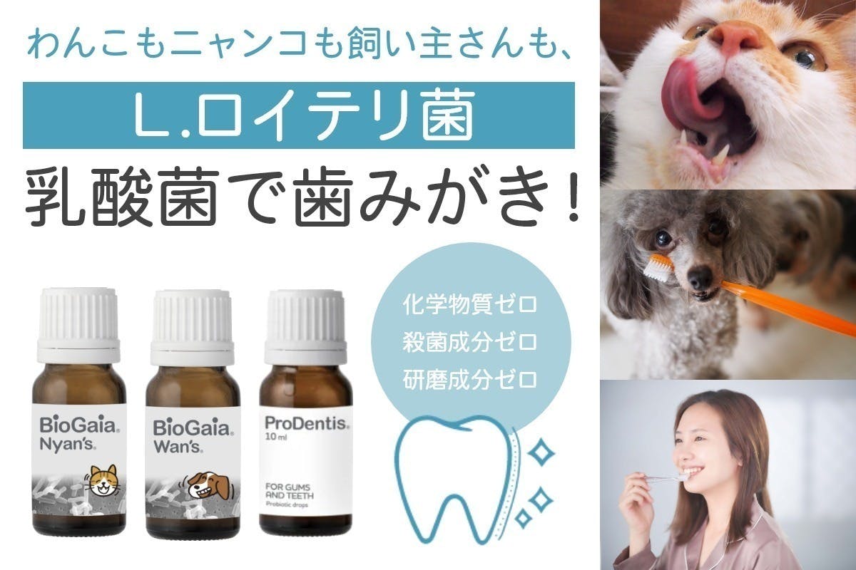 春先取りの バイオガイア ワンズ リキッド 犬用 10mL ミント味<br>※お1