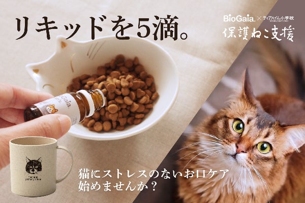 愛猫にリキッドをたった5滴、なめさせるだけのデンタルケア【保護ねこ