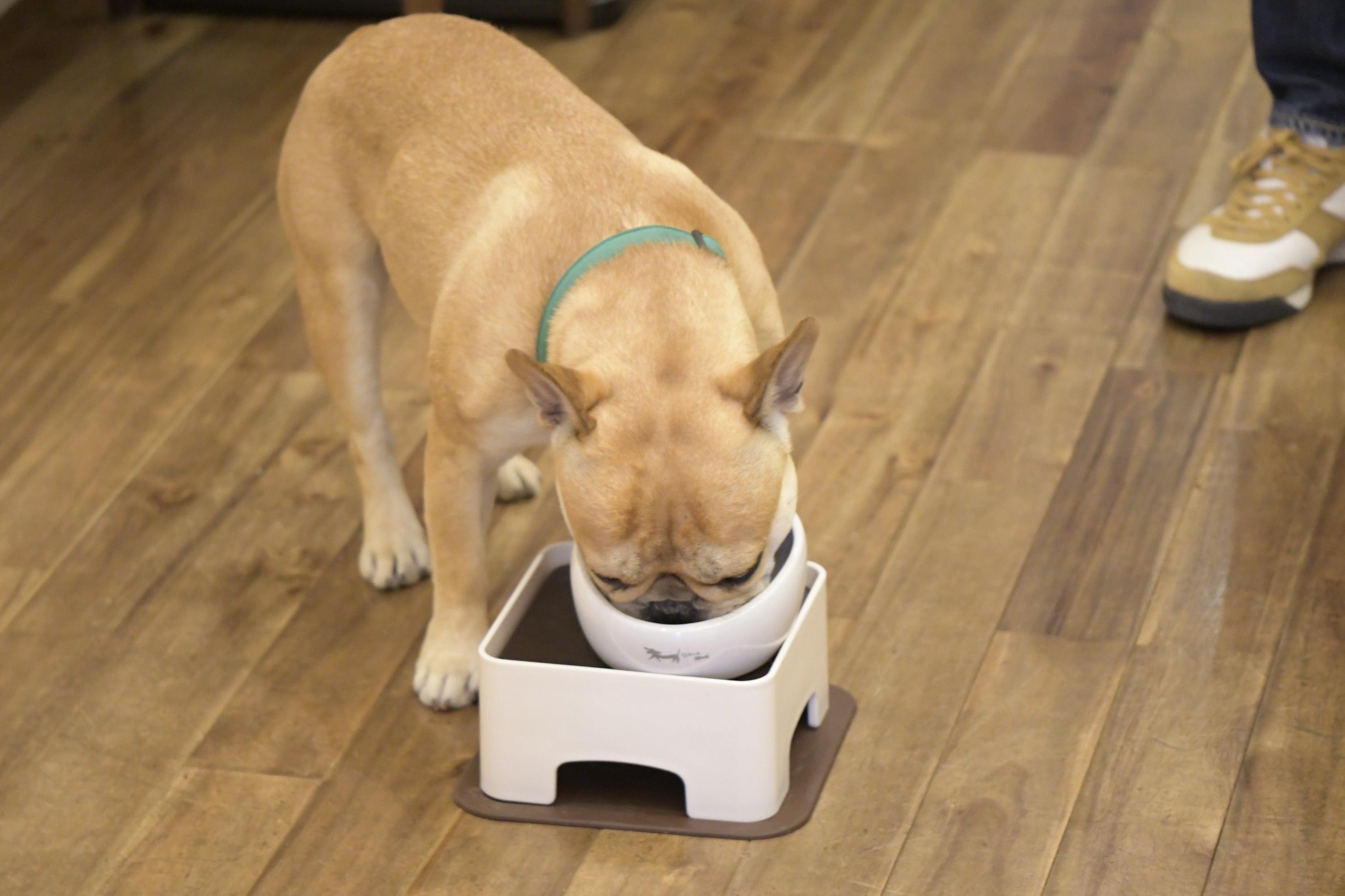 5番目のメイン画像