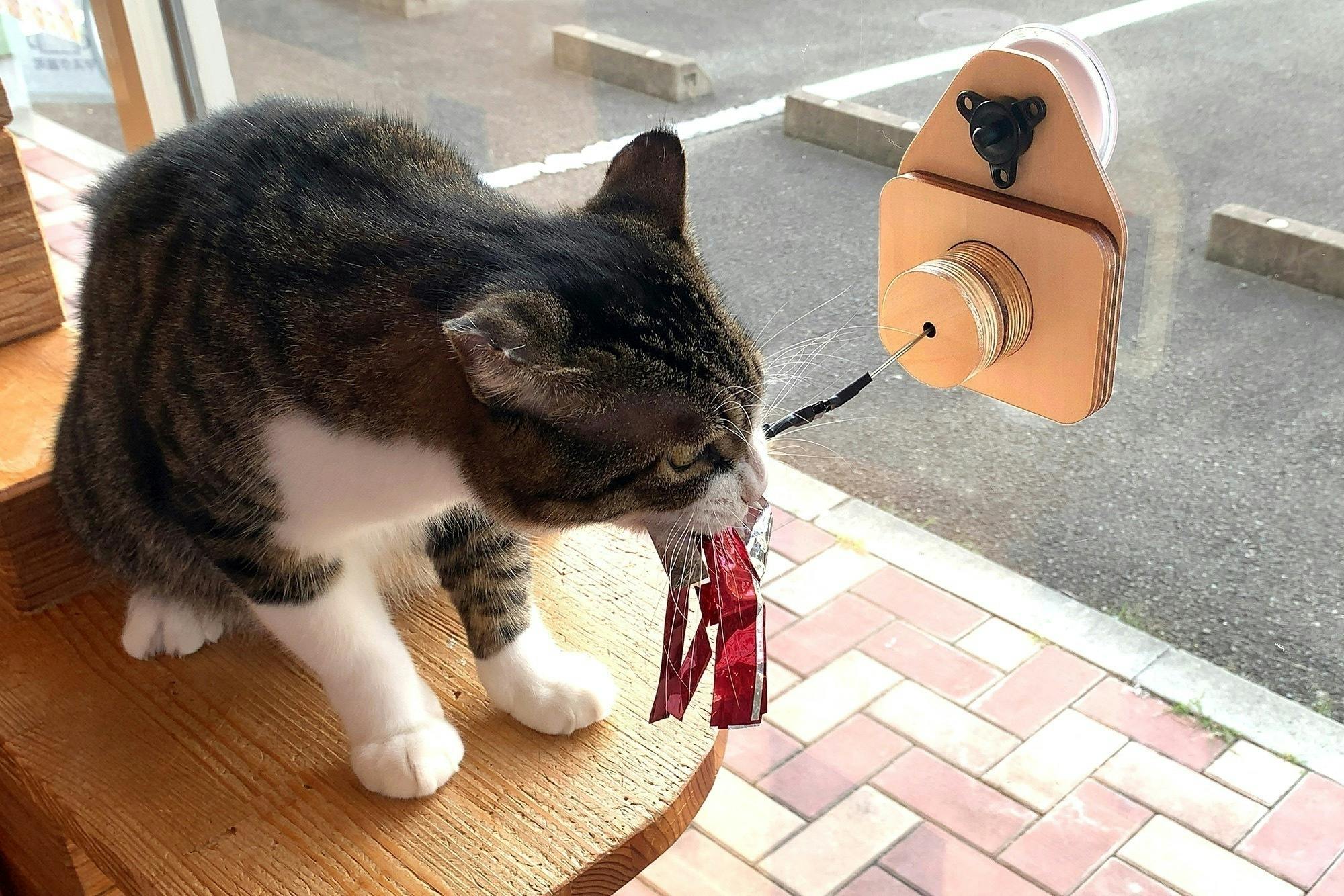 窓辺好きで ぼっちな猫へ ソーラーでエコに遊べるおもちゃ まどじゃらし 誕生 Campfire キャンプファイヤー 窓辺好きで ぼっちな猫へ ソーラーでエコに遊べるおもちゃ まどじゃらし 誕生 Campfire キャンプファイヤー